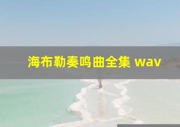 海布勒奏鸣曲全集 wav